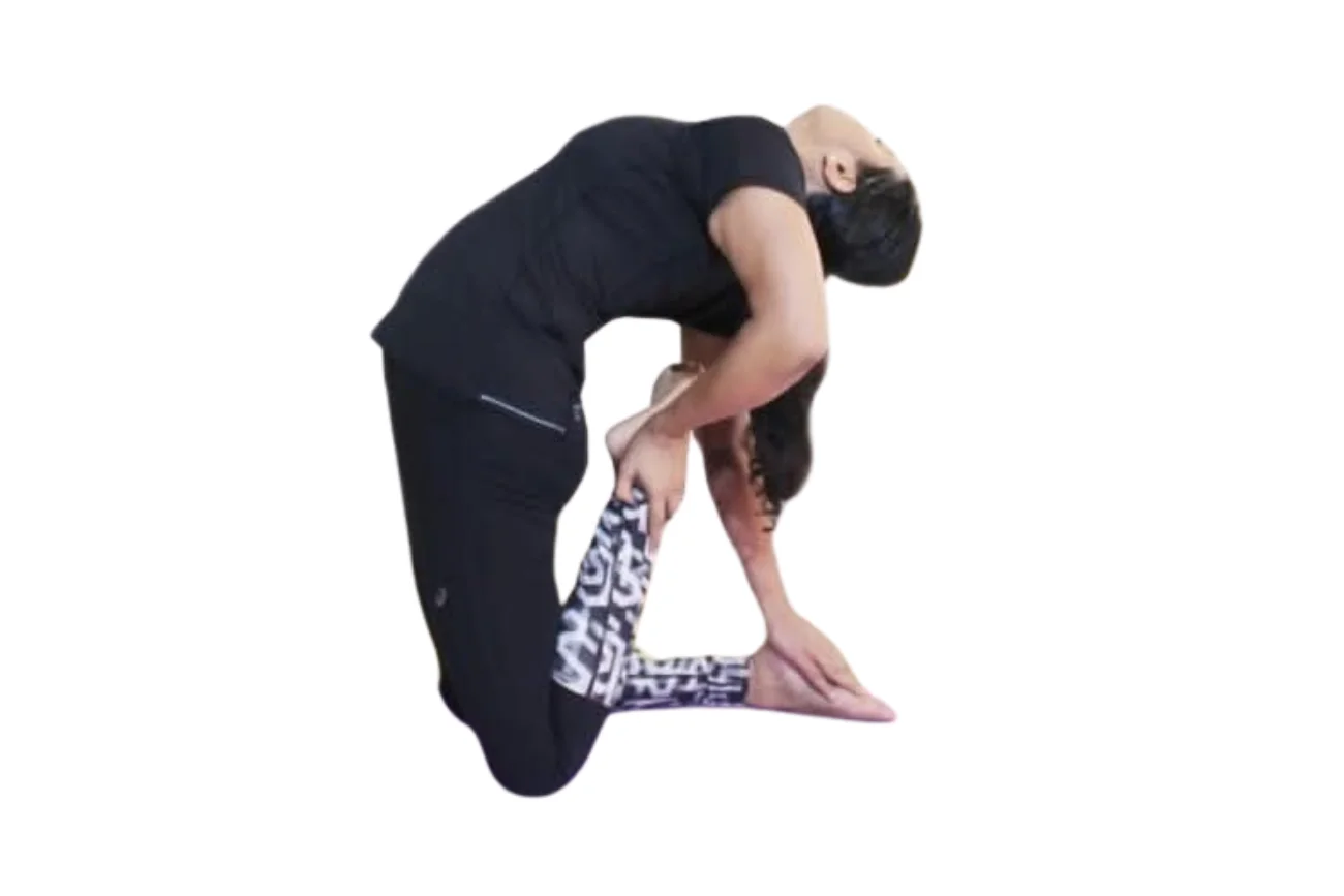 Eka Pada Rajakapotasana